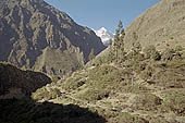 Inca Trail, Cusichaca Valley with the snow capped peak of Veronica in sight. 